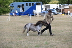 WJ6_6850