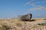 Beached_03_9_21-RLP28405