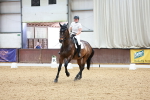 Dressage - 20-6-26 portfolio