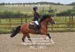JAC_1861