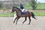 BPP_1033