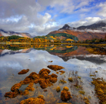PS074 Pap of Glencoe