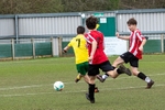 ESPFA Cheshire (Runcorn Linnets) portfolio