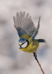 Take-off
