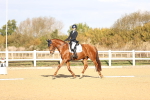 SBM_009045