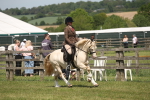 SBM_06917
