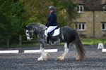WJ5_9117