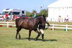 3E7A6207