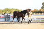 SBM_08329