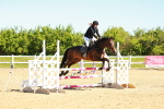 SBM_000429