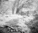 Hawkesbury  Walk
