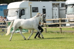 SBM_00764