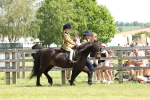SBM_05163