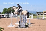 BPP_1590
