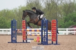 BRC Area 12 Showjumping, Saturday 2nd - Click to View portfolio