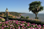 Summer Flowers at Babbacombe