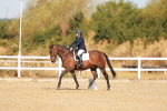 SBM_016650