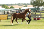 SBM_00674
