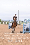 BPP_3911