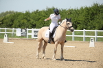 SBM_009638