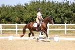 SBM_012041