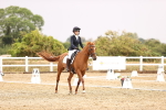 SBM_001093