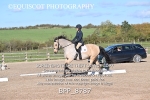 BPP_8787