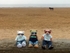 Donkey No Mates