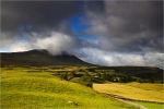 Contrasting Light