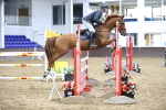 SBM_001491