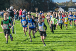 Cumbria XC-70