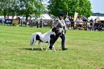 SBM_03452
