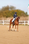 SBM_008707