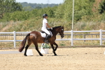 SBM_002499