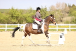 SBM_008001