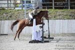 BVRC SJ 170319 425