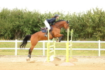 SBM_009920