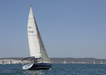 190629 FIREFLY GBR8078R D43A4470