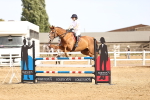 SBM_001630