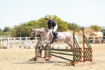 SBM_003653