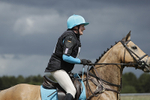 BVHT 140517  NXC -217