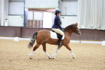 SBM_001237