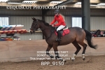 CLASS 3 50CM-70CM Pairs Show Jumping portfolio