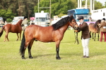 SBM_00473