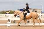 SBM_03764