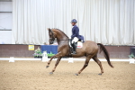 Class 9 - FEI Inter 1 Gold - 16.59-17.47 portfolio