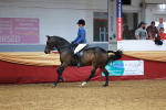 SBM_19354