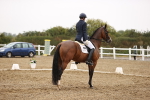 SBM_006689