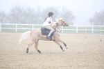 SBM_001044