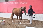 BPP_2019